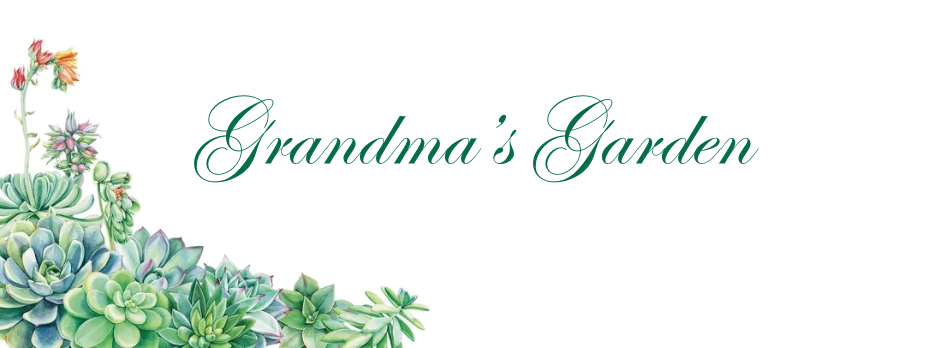 Grandma's Garden
