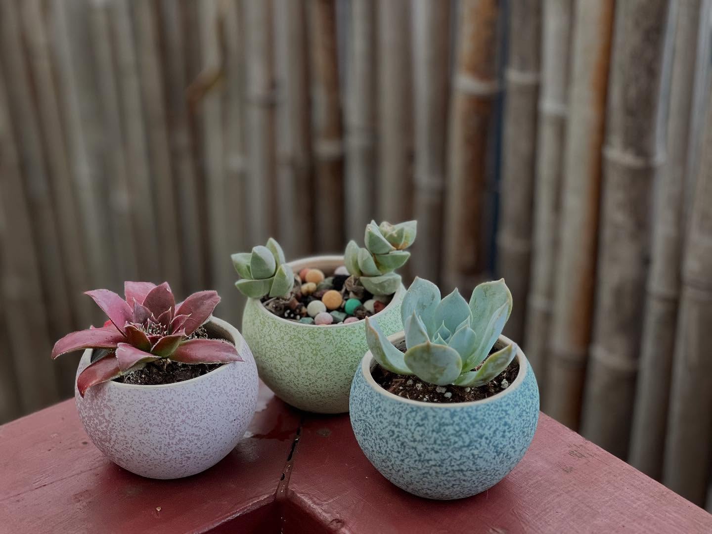 Speckled ceramic pots